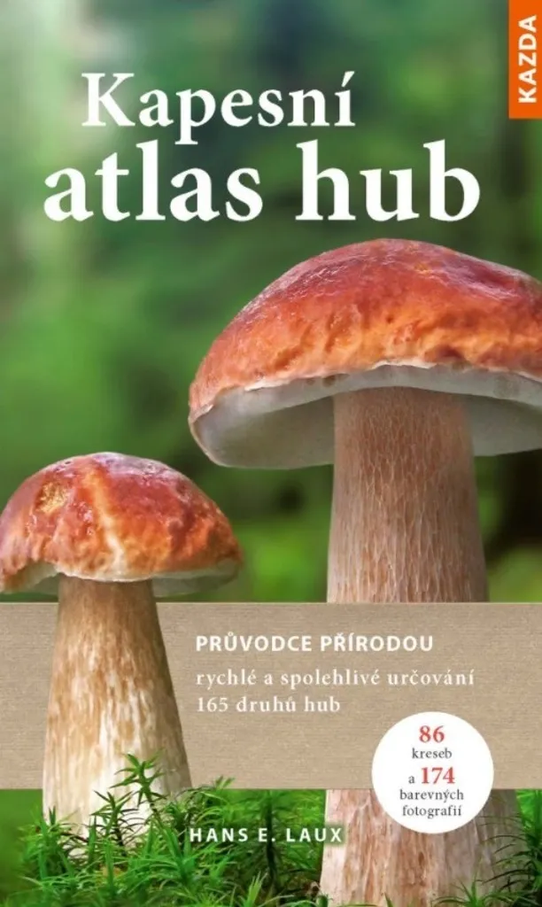 Atlas des champignons : distinguez les espèces comestibles en un clin d'œil