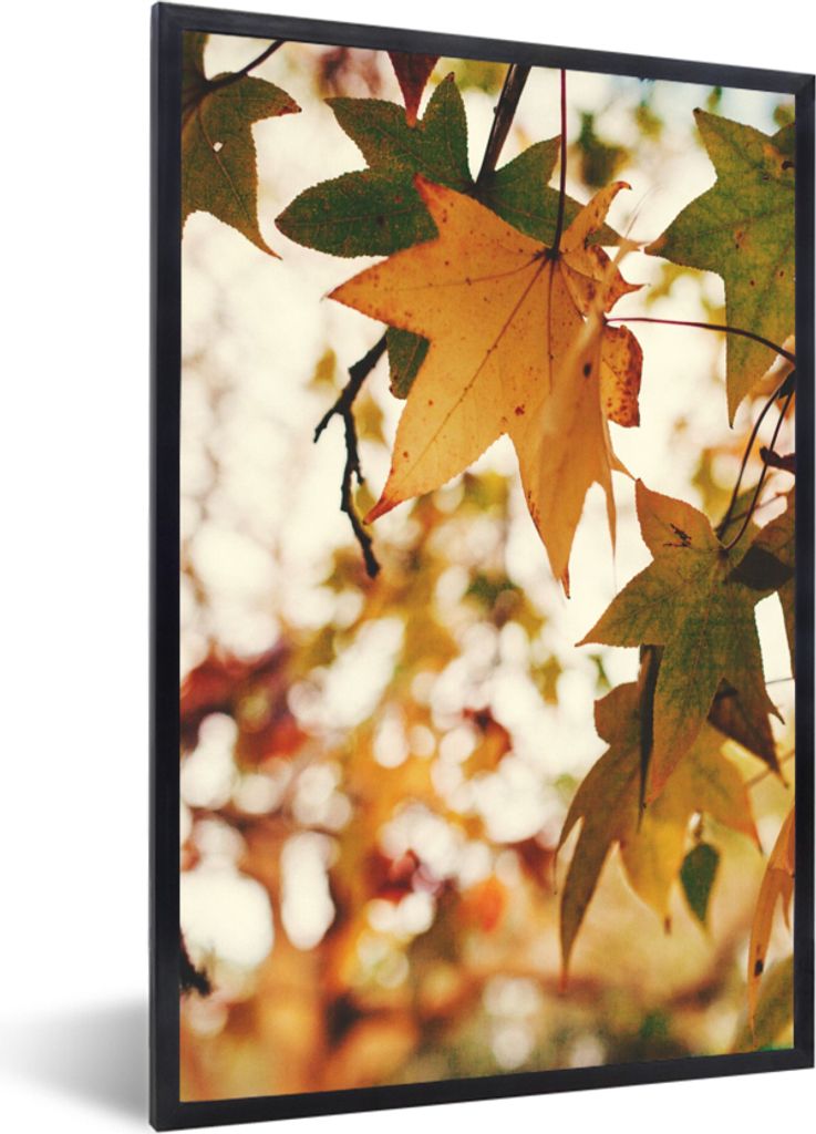 MuchoWow Gerahmtes Poster Natur - Herbstlaub - Rustikal 20x30 cm - Poster mit Schwarzem Bilderrahmen Wandposter Rahmen Foto Bilder - Drucken - Bi...