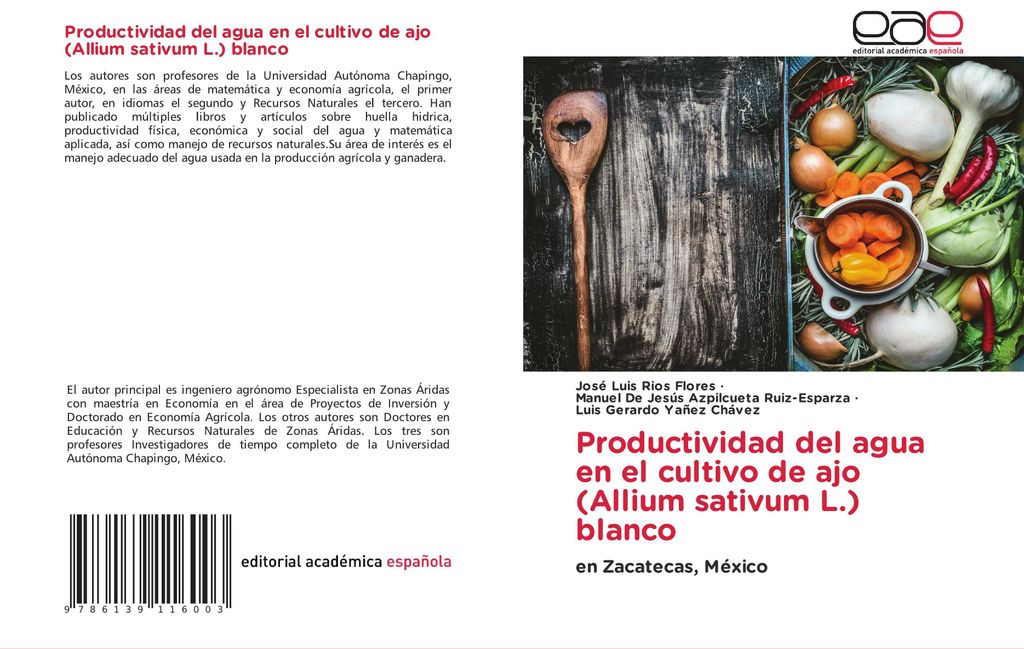 Productividad del agua en el cultivo de ajo (Allium sativum L.) blanco