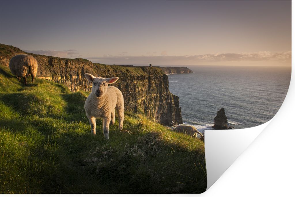 MuchoWow - Aufkleber