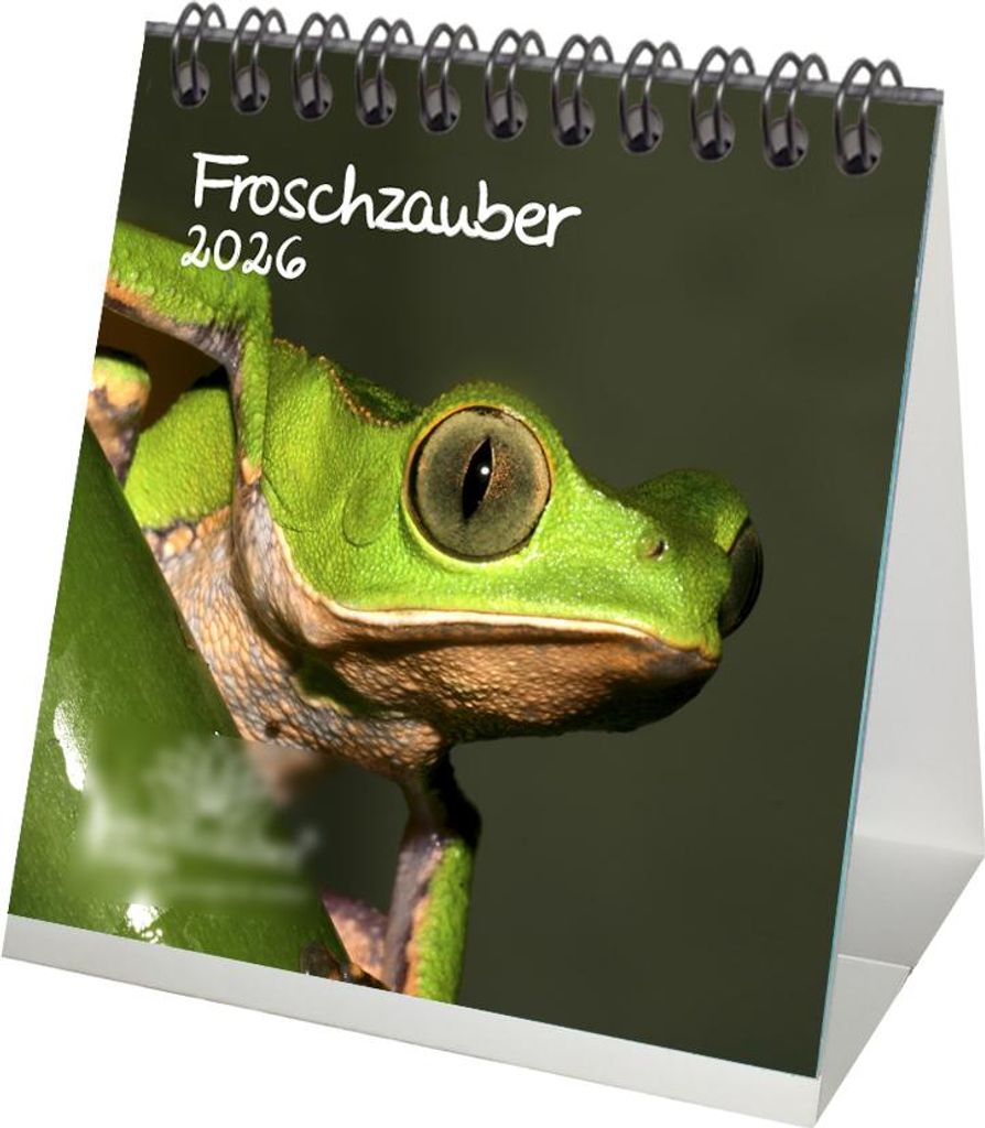 Froschzauber Frösche Tischkalender 10cm x 10cm für 2026 Frosch - Geschenkset Inhalt: 1x Kalender 1x Weihnachtsanhänger 1x Grußanhänger (gesamt...