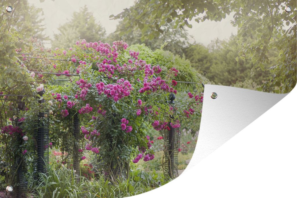MuchoWow 90x60 cm Outdoor-Poster Gartendeko Sichtschutz Garten Poster für den Garten Hübsche rosa Rosen wachsen wie Pflanzen in der Wildnis