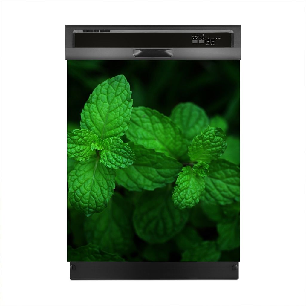 Magnete Dekorative 60x70 cm Küche Magnetmatte Spülmaschine - Grüne Minze Blätter