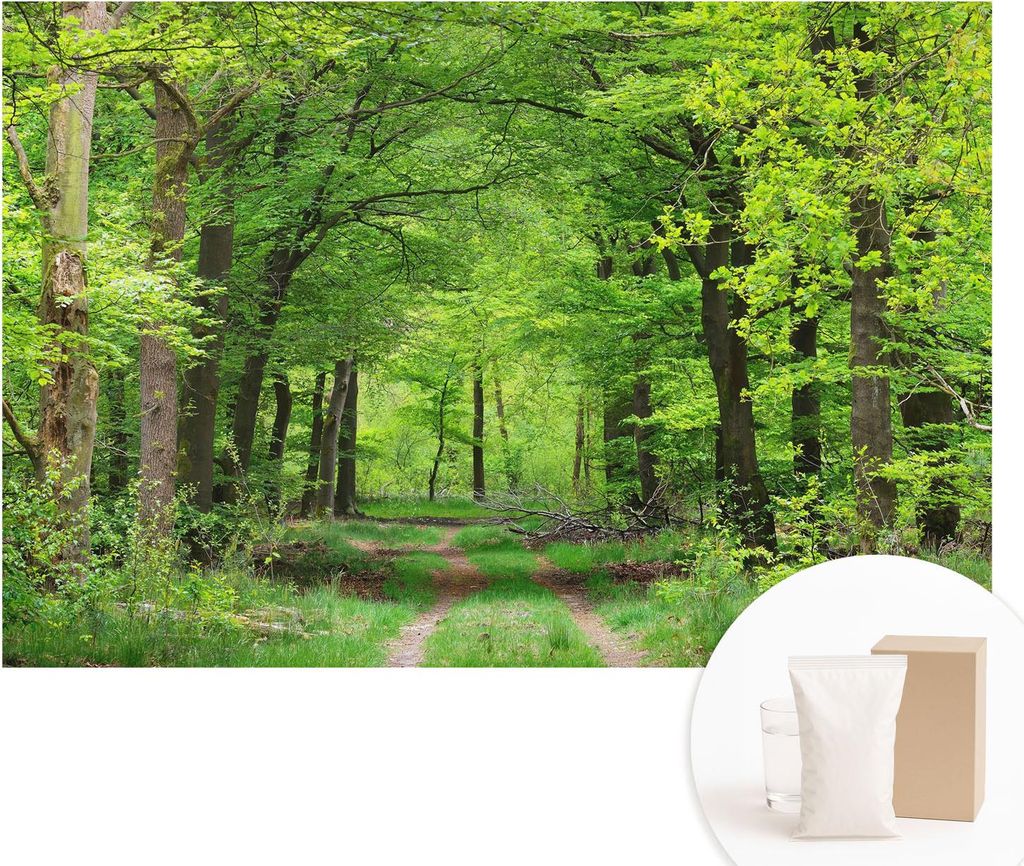 Fototapete - Wandbilder für Wohnzimmer - 104x70 cm - Dekorative Wandfolie - Modernes Design für Wanddekoration - Tapeten für Innenräume - Waldweg