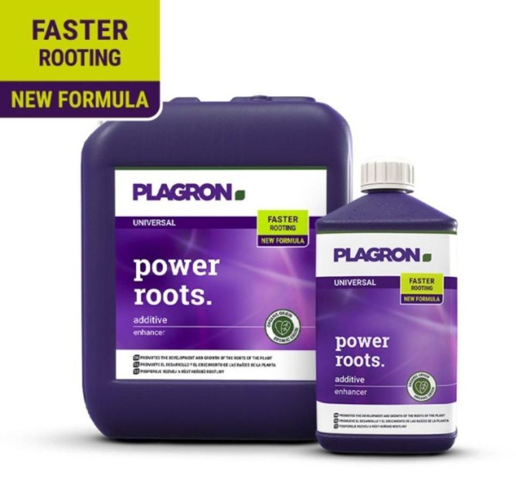 Plagron Power Roots, 250ml Dnger