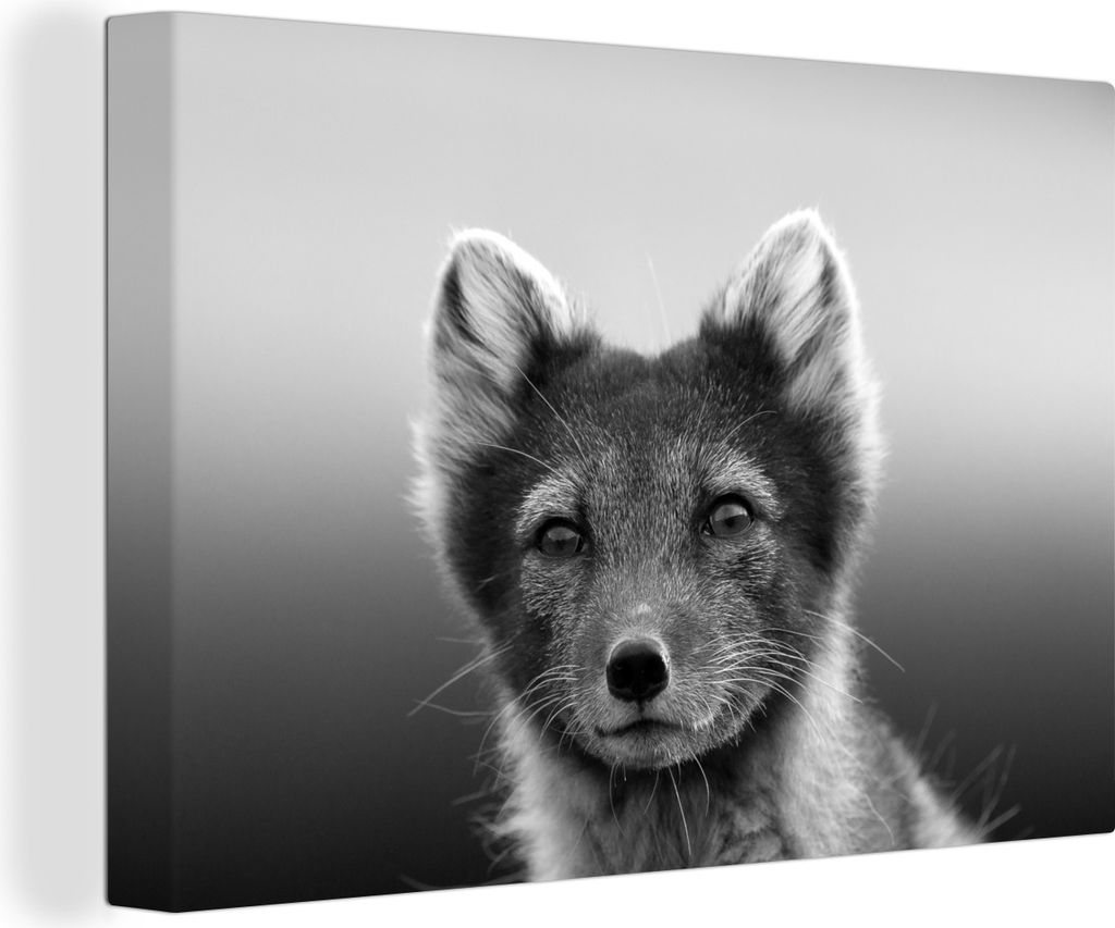 OneMillionCanvasses - Leinwandbilder - 140x90 cm, Junger Polarfuchs - schwarz und weiß, Wandbilder Kunstdruck Wanddekoration