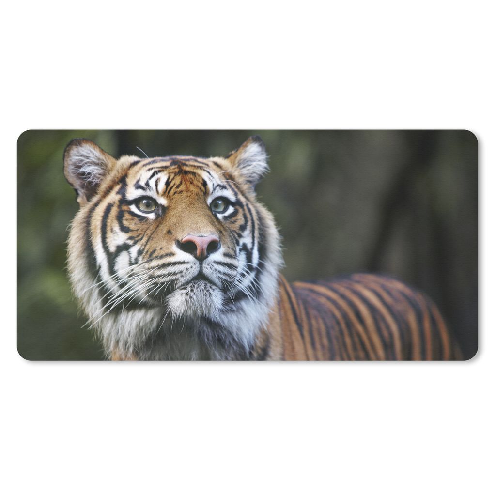 MuchoWow Schreibtischunterlage Tiger - Dschungel - Mantel 80x40 cm - XXL Mauspad - Gaming Mauspad