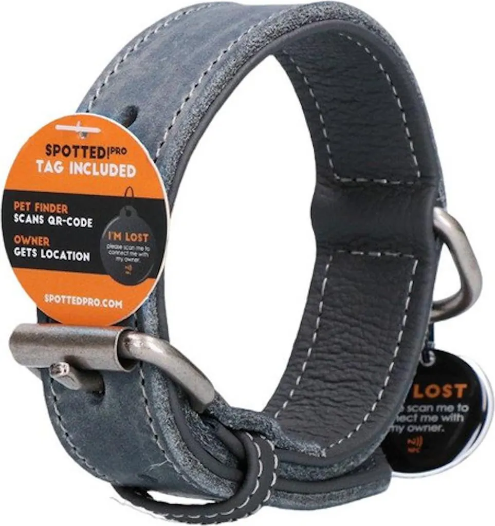 Collier pour chien en cuir véritable gris Spotted ! Pro 40cm Confort