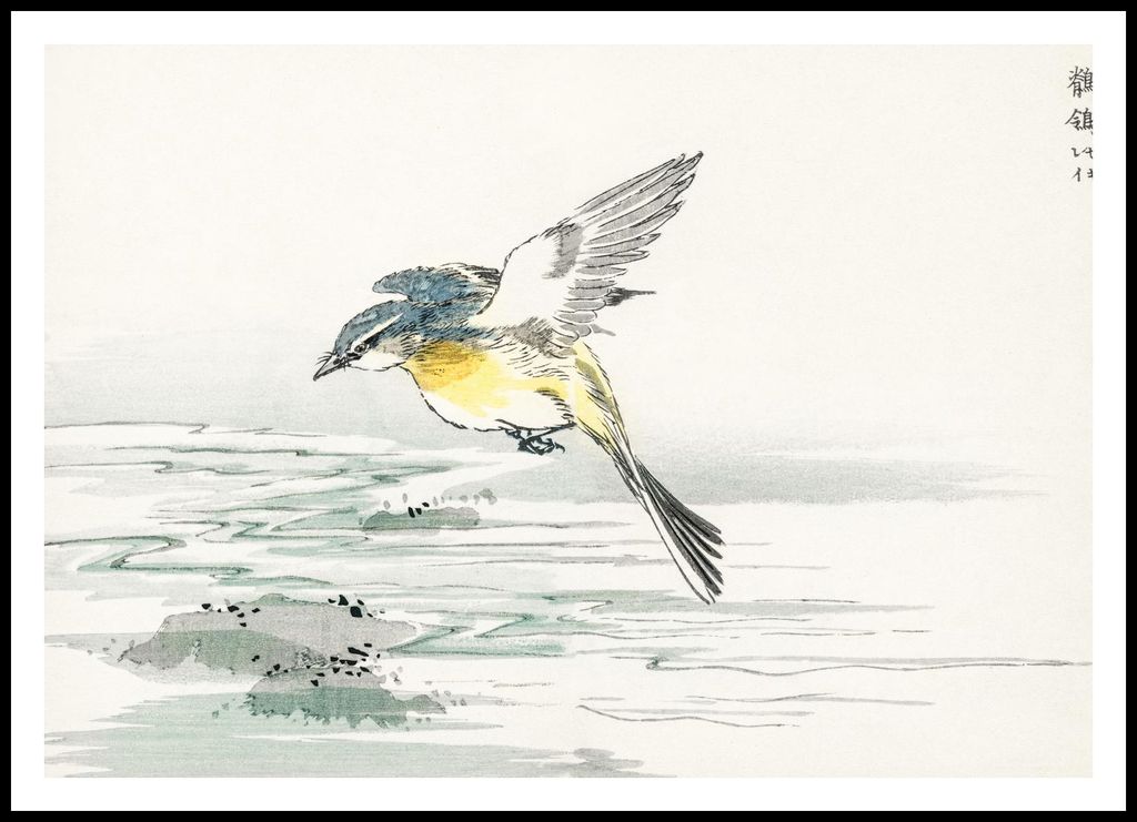 Plakat 100x70cm Eastern Grey Wagtail, Kashu Vintage für das Wohnzimmer