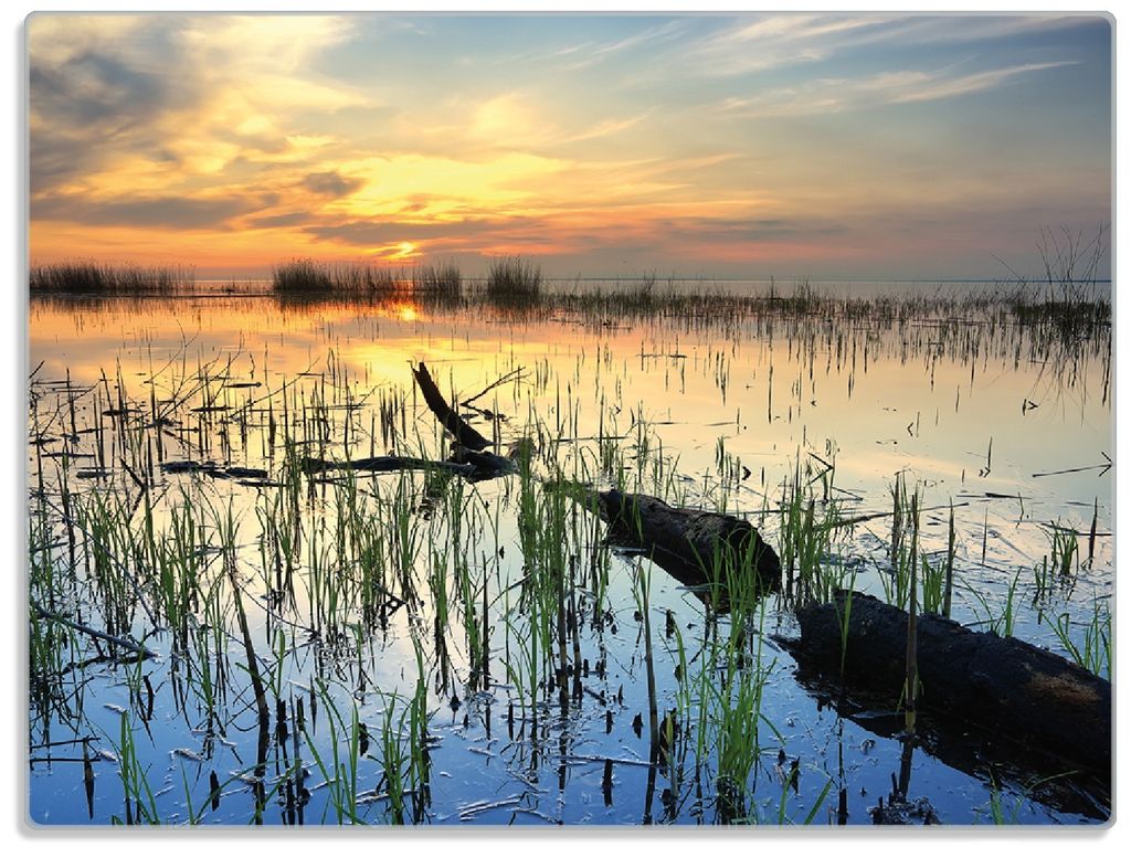 Wallario Glasunterlage, Schneidebrett aus Glas, Größe 30 x 40 cm, Motiv Schilf am Abend - Sonnenuntergang über der Seelandschaft