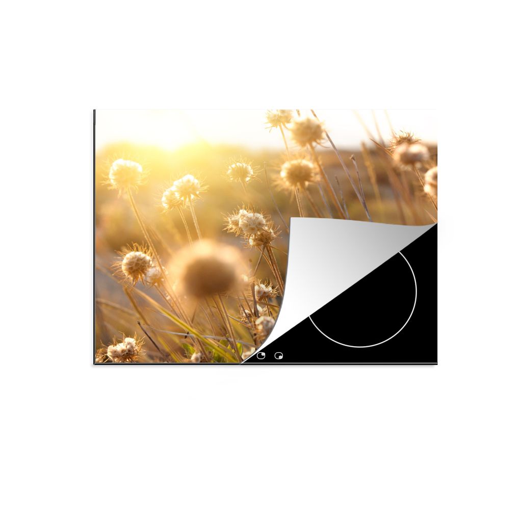 KitchenYeah Herdabdeckplatte Pflanzen - Natur - Blumen - Sonne - Horizont , 59x52cm, Küche Deko, Glaskeramikkochfeld Herdabdeckung, Abdeckplatte...