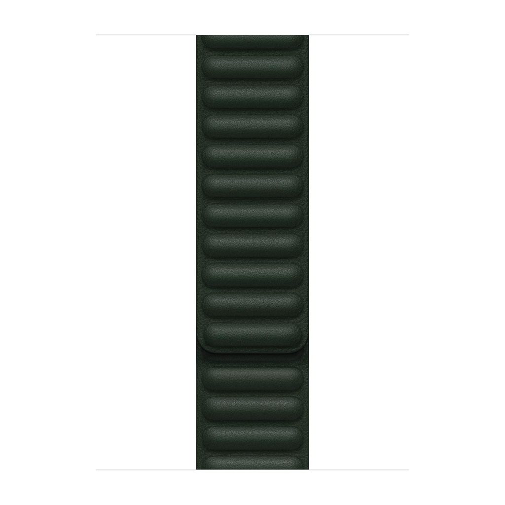 Apple Cinturino a maglie in pelle verde sequoia 45 mm - M.L Immagine del prodotto 