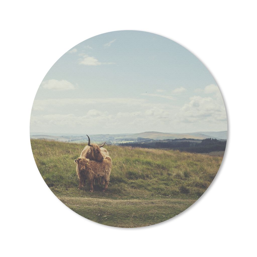 MuchoWow Mauspad Mousepad Schottische Highlander - Gras - Wolken - Tiere 50x50 cm - Mousepads - Maus Mat - Pad - Mausunterlage - Vinyl