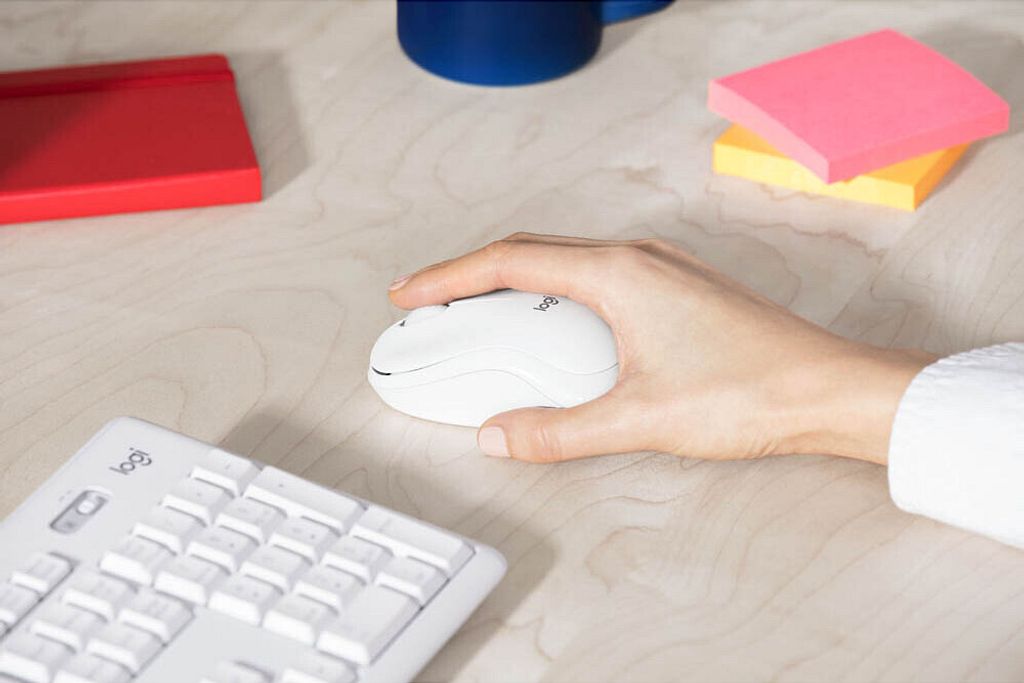 Zestaw bezprzewodowej klawiatury i myszy Logitech MK295 Zdjęcie produktu 22