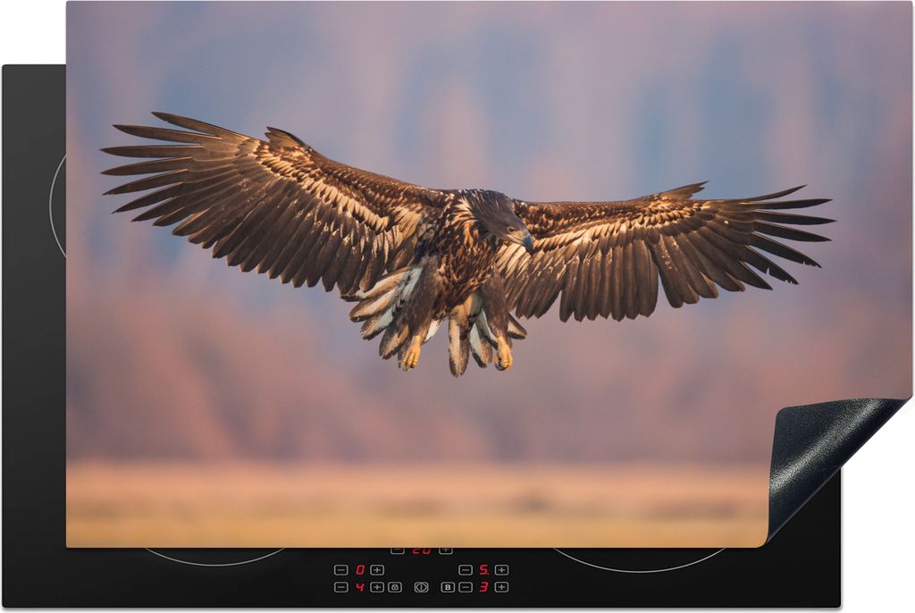 KitchenYeah Herdabdeckplatte Der Adler breitet seine Schwingen aus , 81x52cm, Küche Deko, Glaskeramikkochfeld Herdabdeckung, Abdeckplatte fùr K...