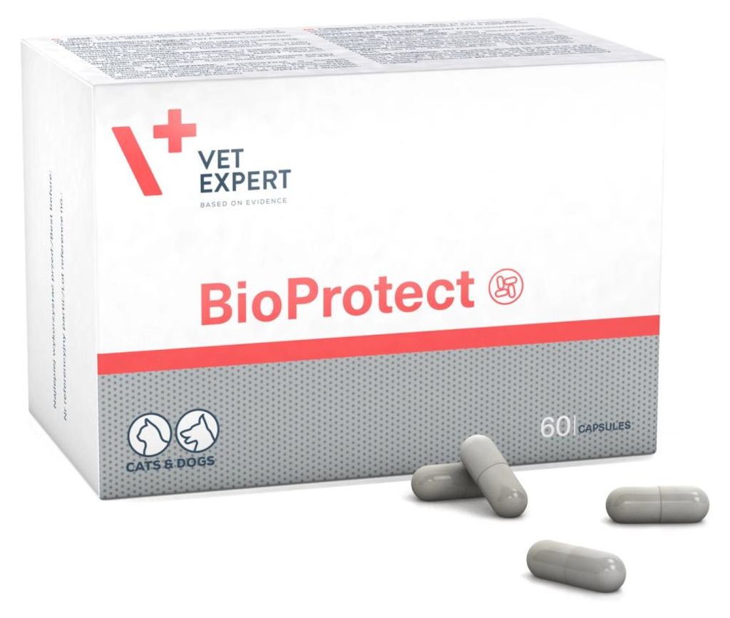 Vet Expert BioProtect 60 capsules. Probiotisch supplement Productafbeelding 