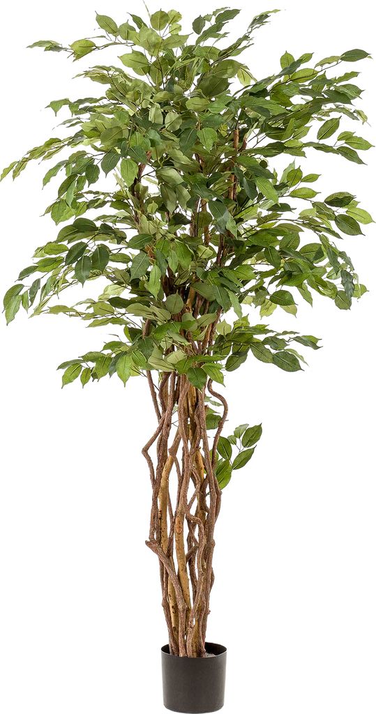 Green boutiQ - kunstplant - Ficus liana - Vioolbladplant - 170cm - Grün - Pflegeleicht - Hohe Qualität