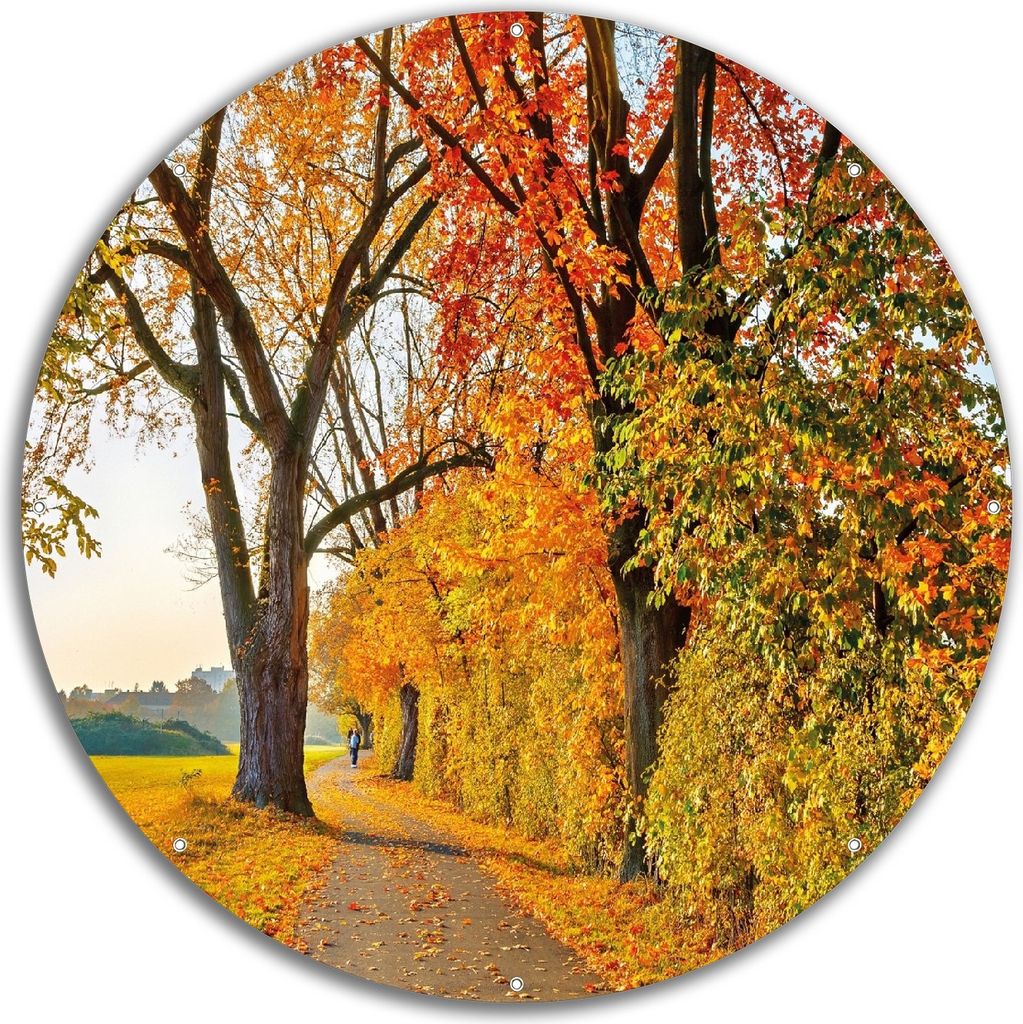Wallario rundes Outdoor-Poster für Garten oder Balkon, Motiv Herbstlicher Waldweg mit buntem Laub, 60 cm Durchmesser