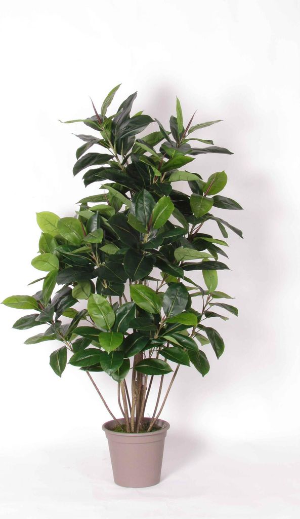 artplants.de Deko Gummibaum LAURINTU, Naturstämme, grün, 150cm - Italy - Kunst Gummibaum