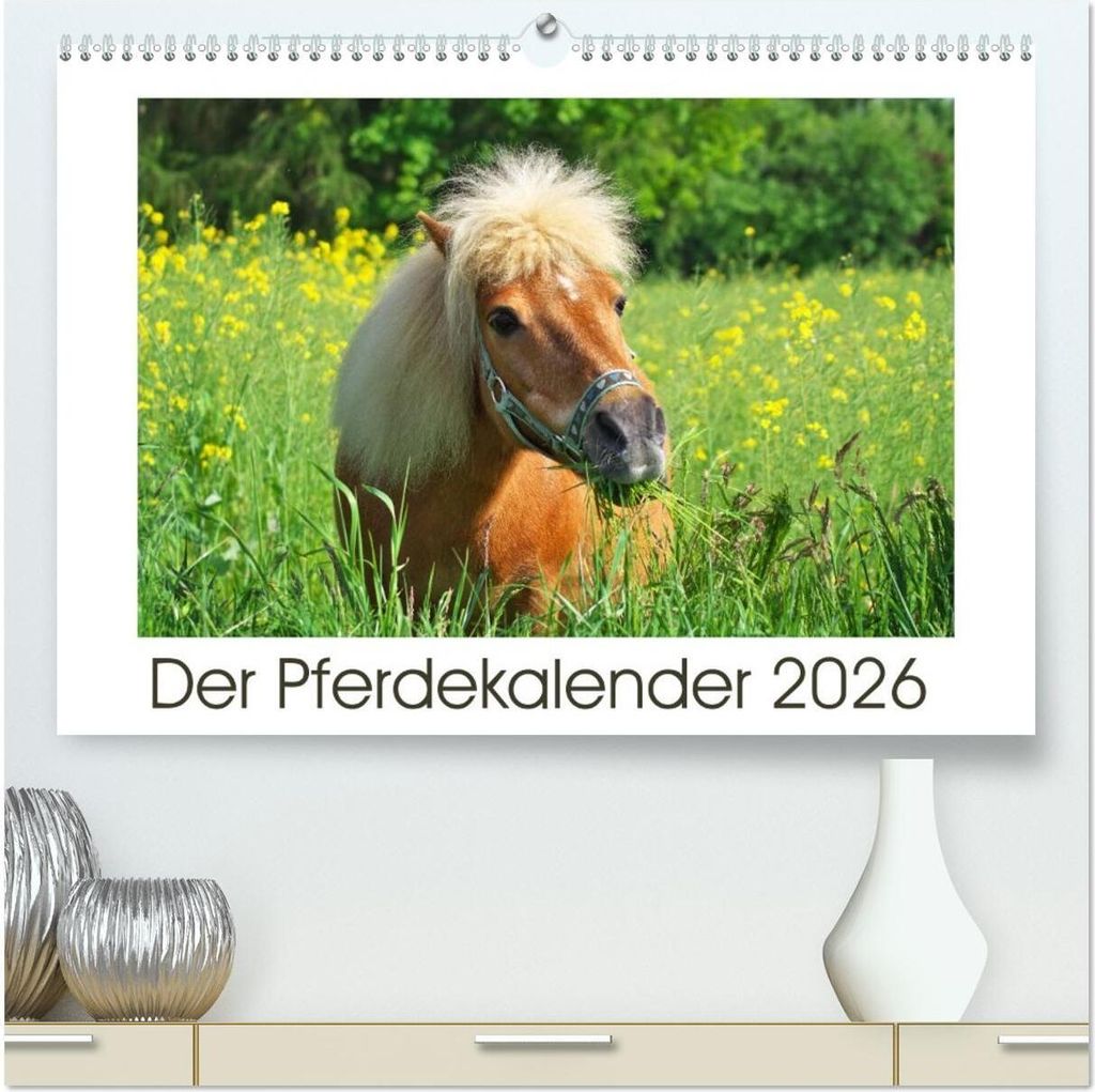 Der Pferdekalender (hochwertiger Premium Wandkalender 2026 DIN A2 quer), Kunstdruck in Hochglanz