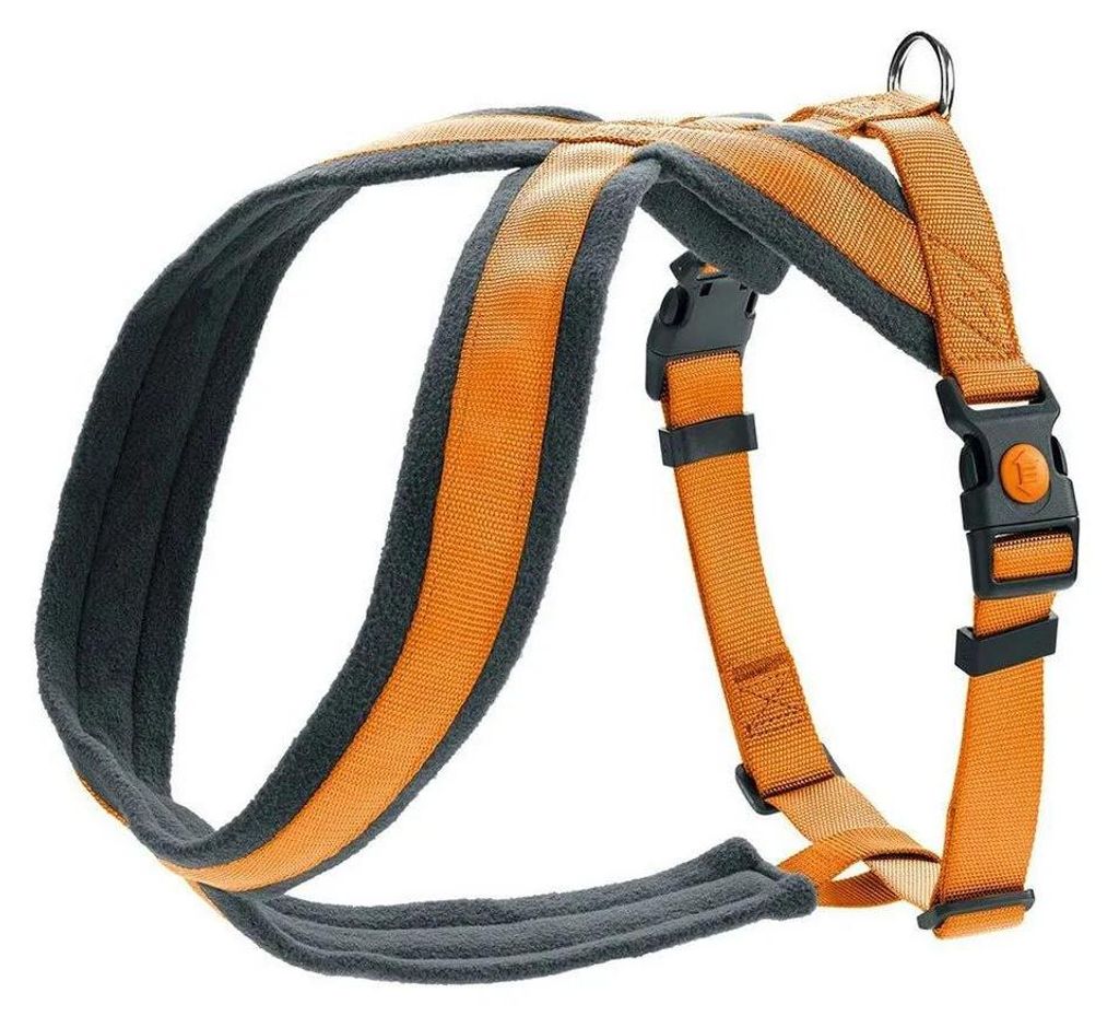 HUNTER Geschirr London Comfort Orange S-M/2