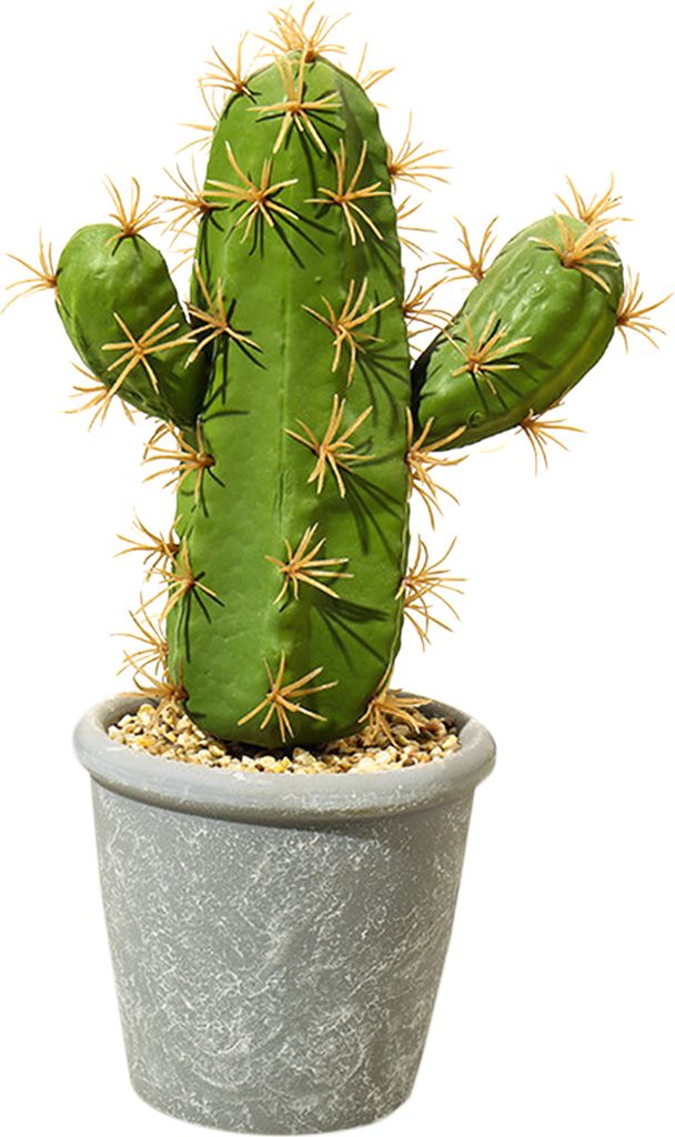 gefälschte Pflanzen dekorative schöne realistische Topfpflanzen Gefälschte Desktop Kaktuslandschaftsdekor für Zuhause-7