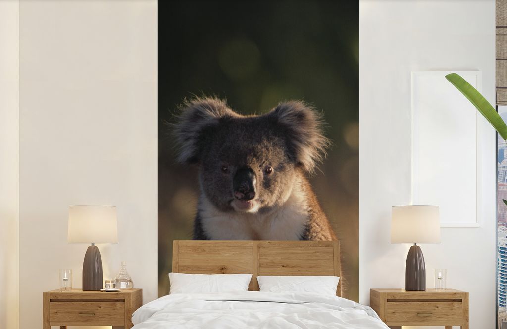MuchoWow Fototapete für Wohnzimmer oder Schlafzimmer Wandtapete Vinyl Motivtapete Koala - Sonne - Tier - Kinder - Jungen - Mädchen - 120x240 cm...