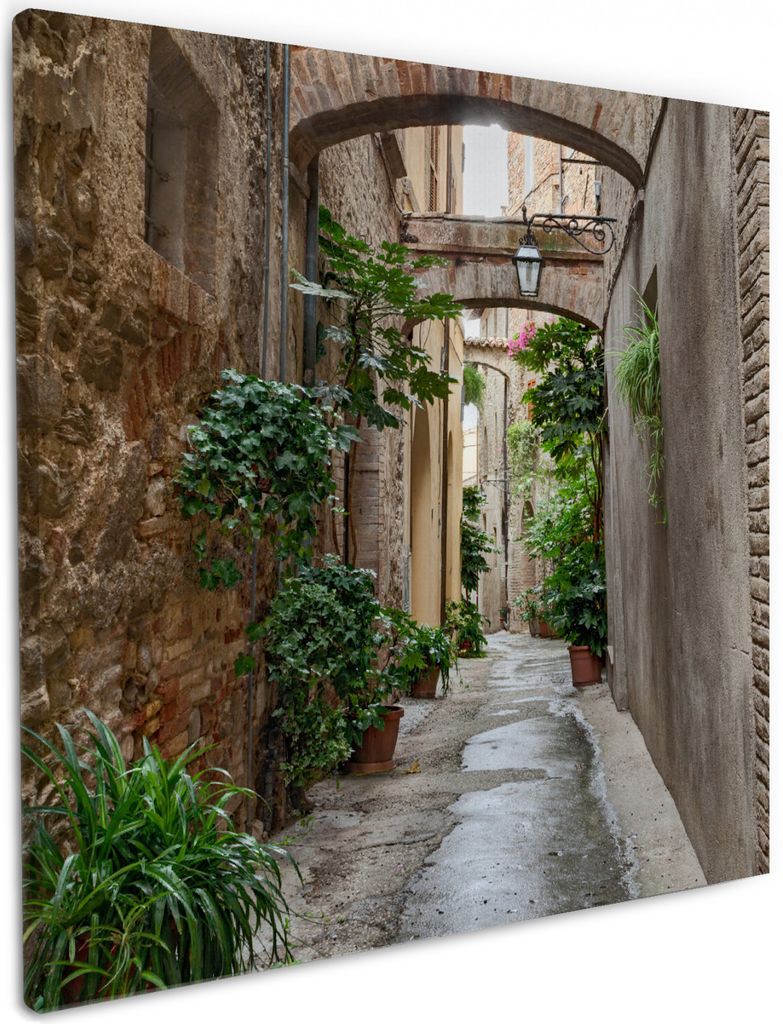 Wallario Premium Leinwandbild Grüne italienische Gasse - mit alten Bögen in Größe 50 x 50 cm