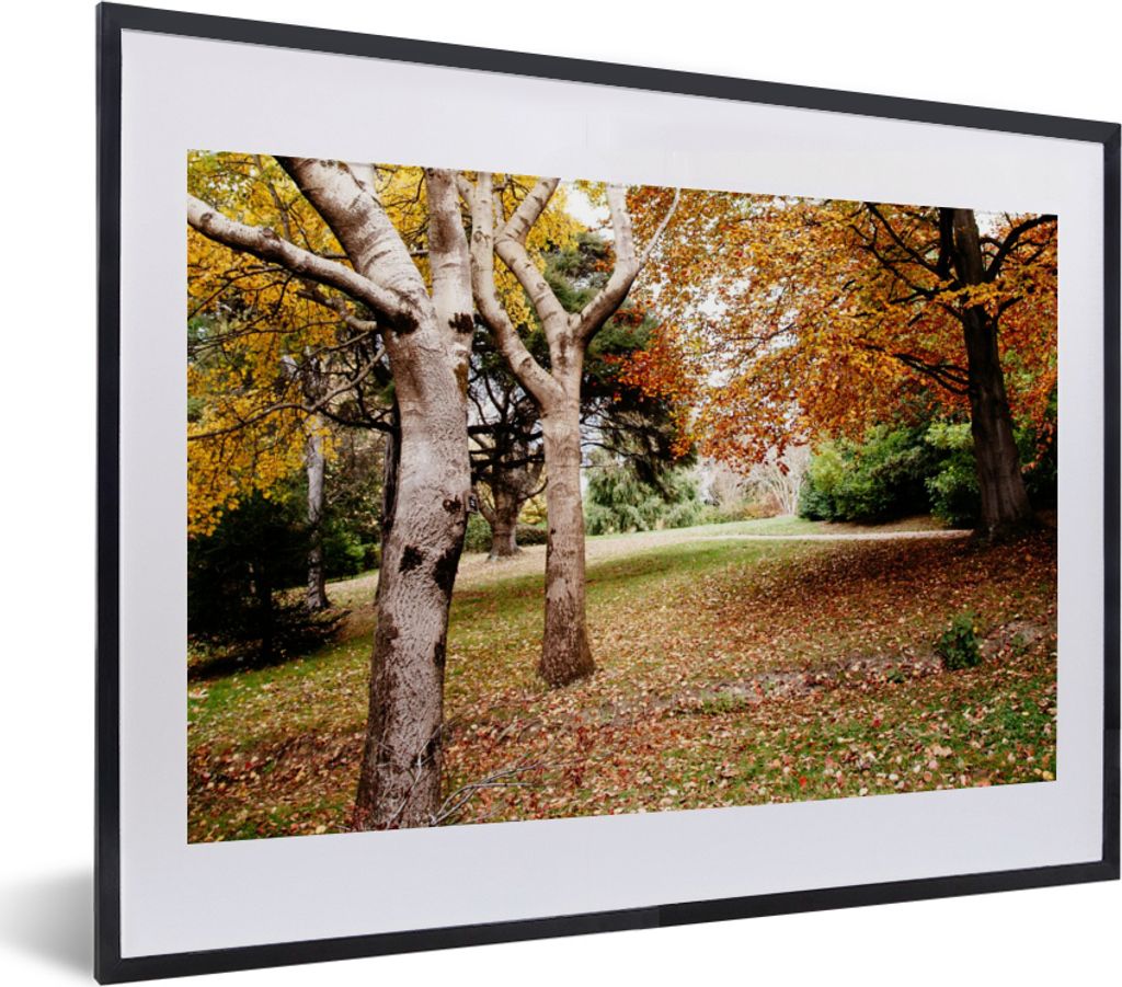 MuchoWow Gerahmtes Poster Herbst - Bäume - Laub - Natur 40x30 cm - Poster mit Schwarzem Bilderrahmen Wandposter Rahmen Foto Bilder - Bilderrahme...
