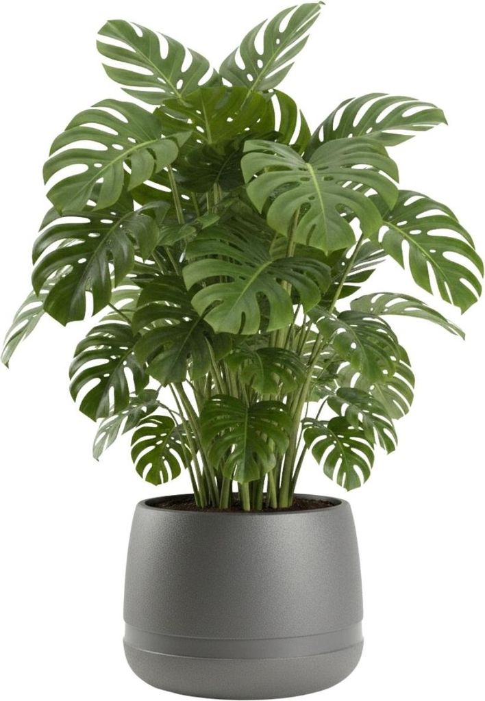 HowHomely | Pflanzgefäß - Blumenkübel - B48x38 cm - grau - Übertopf - Pflanzentopf - Praktisch