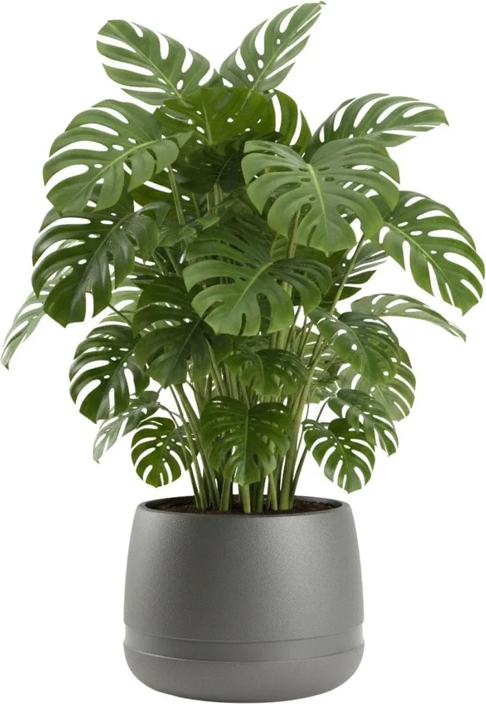 HowHomely Jardinière Grise 48x38 cm - Bac à Fleurs et Cache-pot Pratique