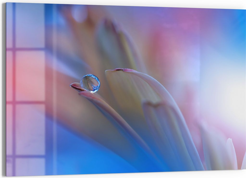 DEQORI Magnettafel Glas 90x60 cm 'Reine Harmonie' beschreibbar Whiteboard Pinnwand Küche