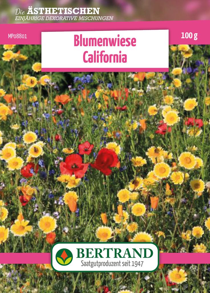 Blumenwiese Blumenteppich California (100 g) | Blumenwiese von Bertrand