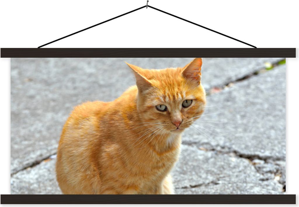 MuchoWow Textilposter Katze - Rot - Straße - Mädchen - Kinder - Jungen - Kind 150x75 cm mit schwarzem Rahmen - Posterleiste