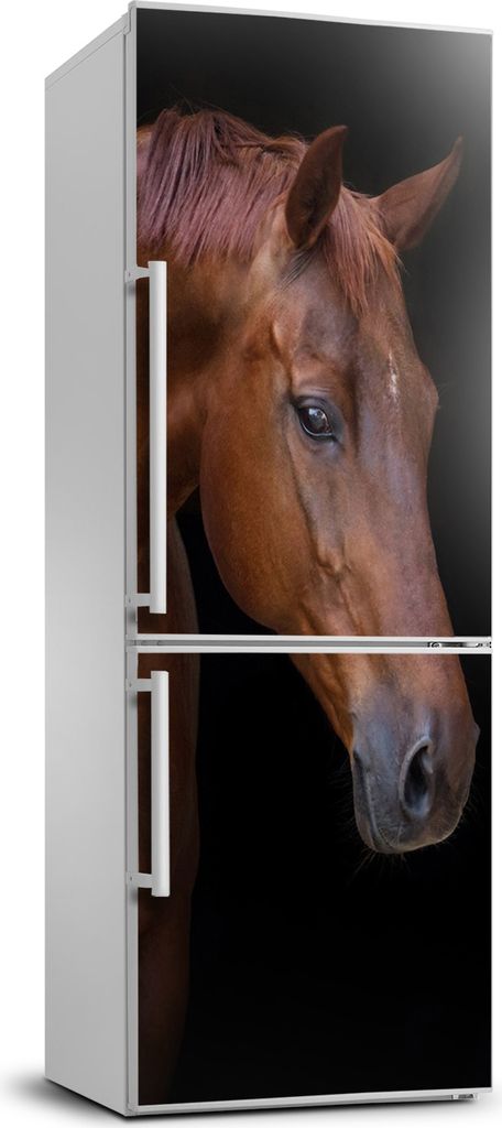 Tulup Kühlschrankdekoration - 70x190 cm - Aufkleber auf dem Kühlschrank - Portrait eines Pferdes