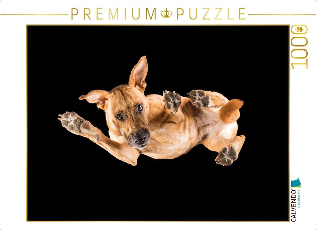 CALVENDO Puzzle Paul 1000 Teile Puzzle quer | 1000 Teile Lege-Größe 64x48cm Foto-Puzzle für glückliche Stunden