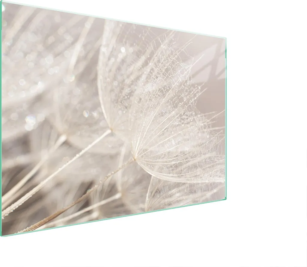 Paraschizzi Vetro 70x52 Blume | Proteggi il tuo Levi in Cucina