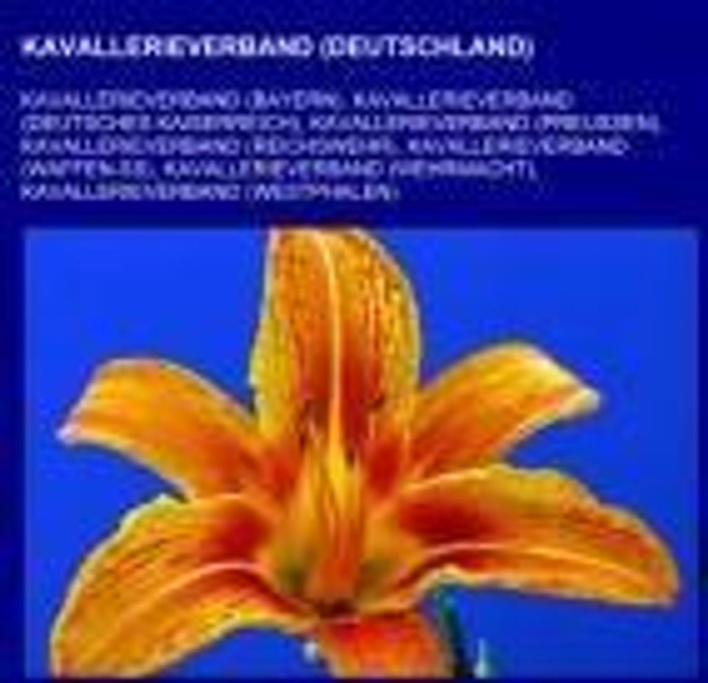 Kavallerieverband (Deutschland)