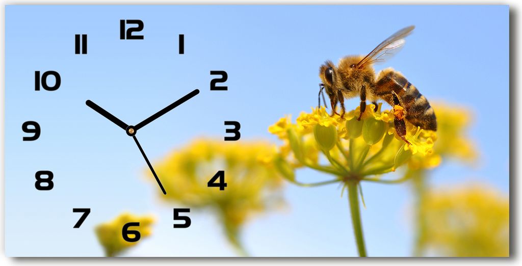 Wanduhr aus Glas – 60x30 cm - Glasbild - Glasuhr - Gehärtetes Glas - schwarze-zeiger - Biene auf einer Blume