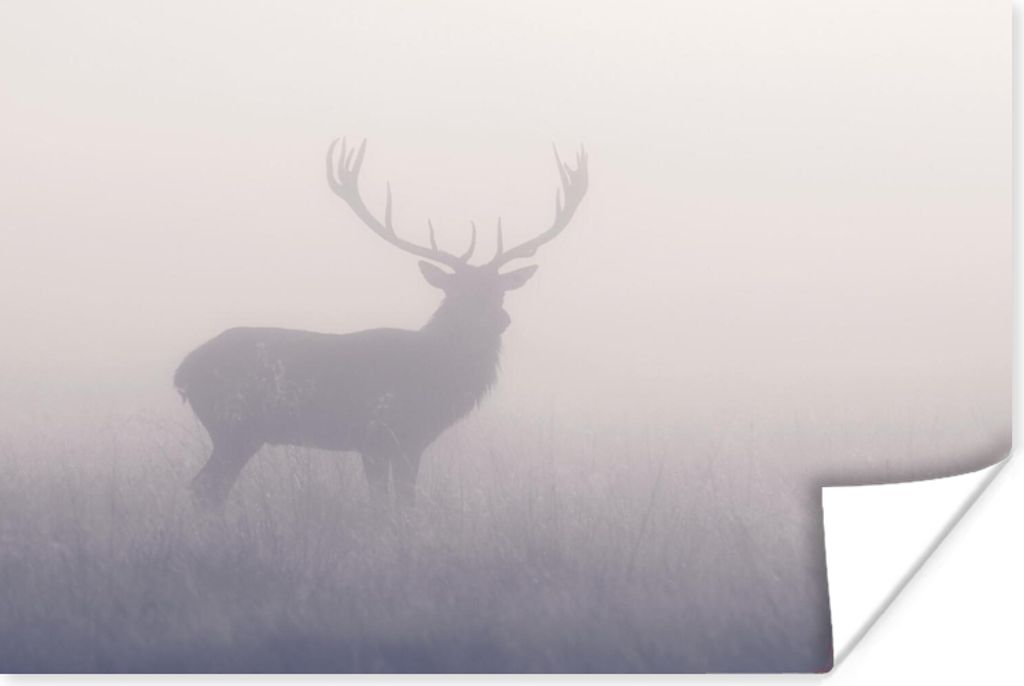 MuchoWow Poster Hirsche - Nebel - Morgen 180x120 cm - Fotoplakat