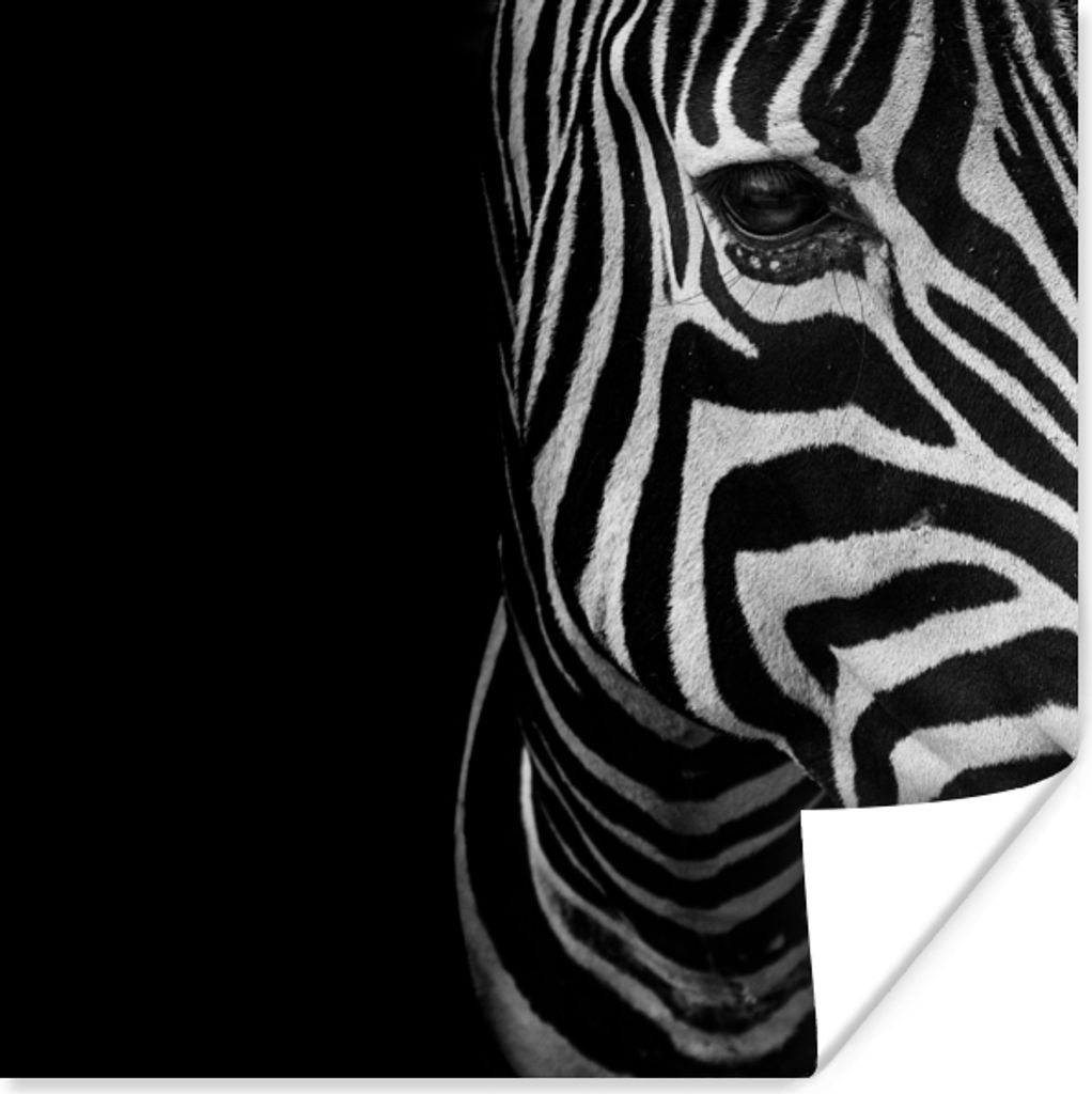 MuchoWow Poster Tiere - Zebra - Schwarz - Weiß 30x30 cm - Wandposter - Printing