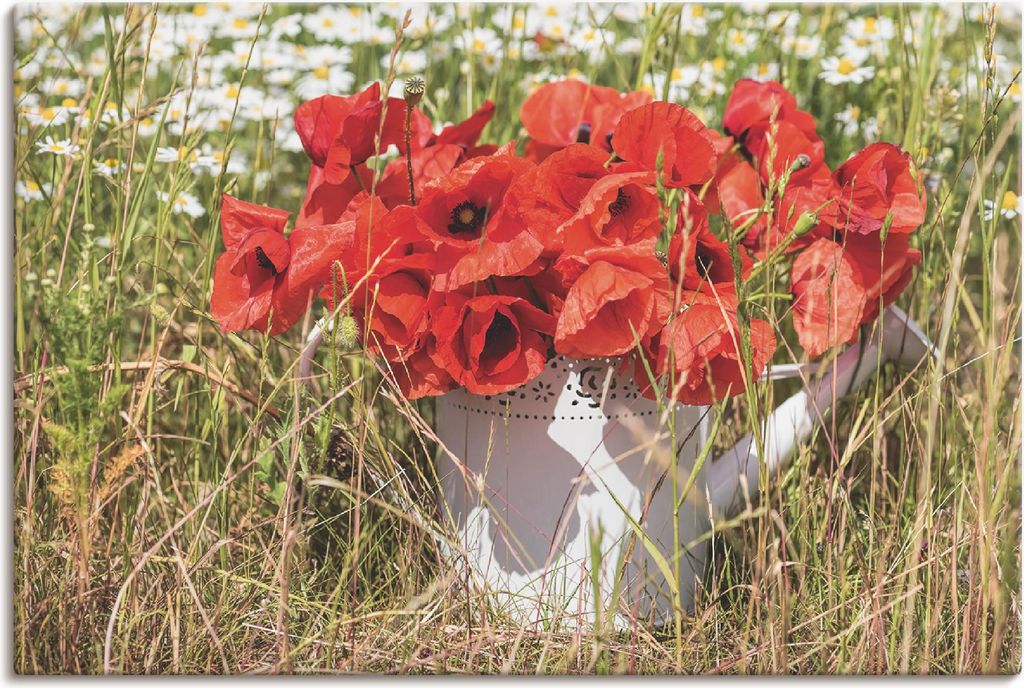 ARTland Leinwandbild Mohnblüten im Feld Größe: 60x40 cm