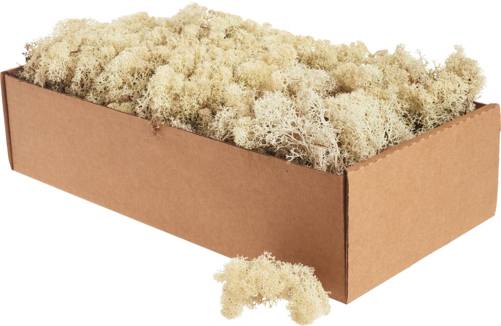 XXL Islandmoos, ca. 400 g Natur Produktbild 