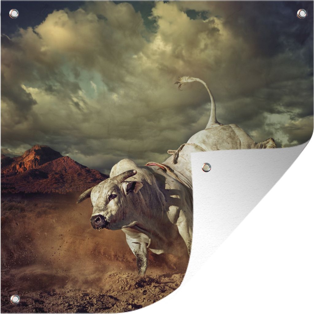 MuchoWow 50x50 cm Outdoor-Poster Gartendeko Sichtschutz Garten Poster für den Garten Ein tretender weißer Stier in der Wüste
