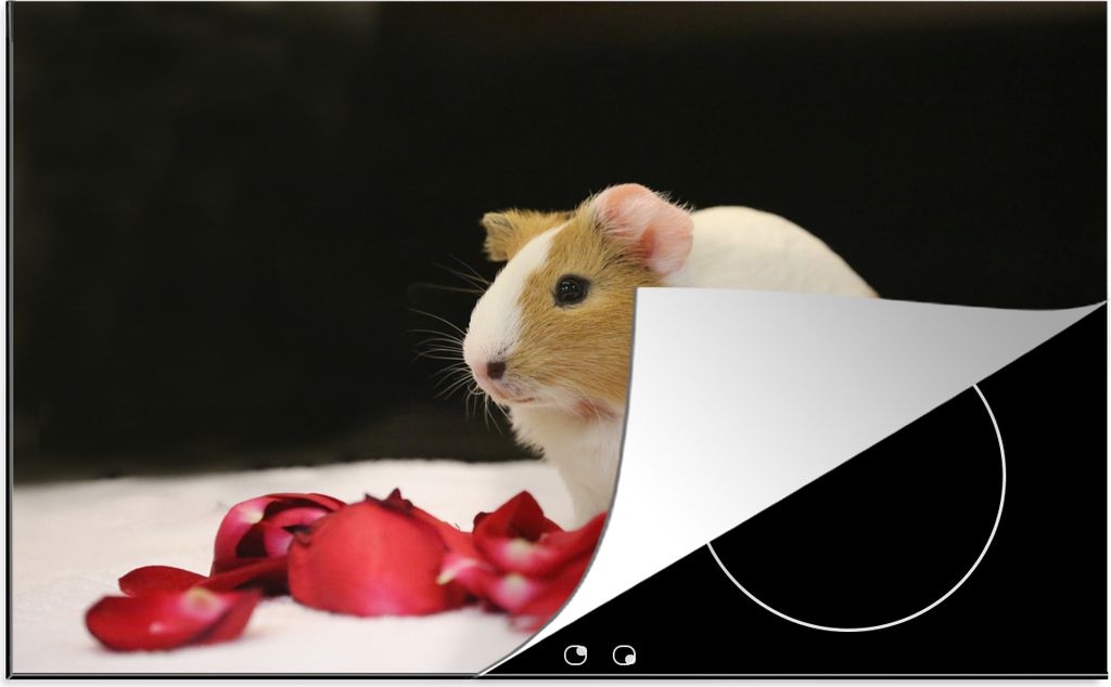 KitchenYeah Herdabdeckplatte Liebes Meerschweinchen , 77x51cm, Küche Deko, Glaskeramikkochfeld Herdabdeckung, Abdeckplatte fùr Kochfeld