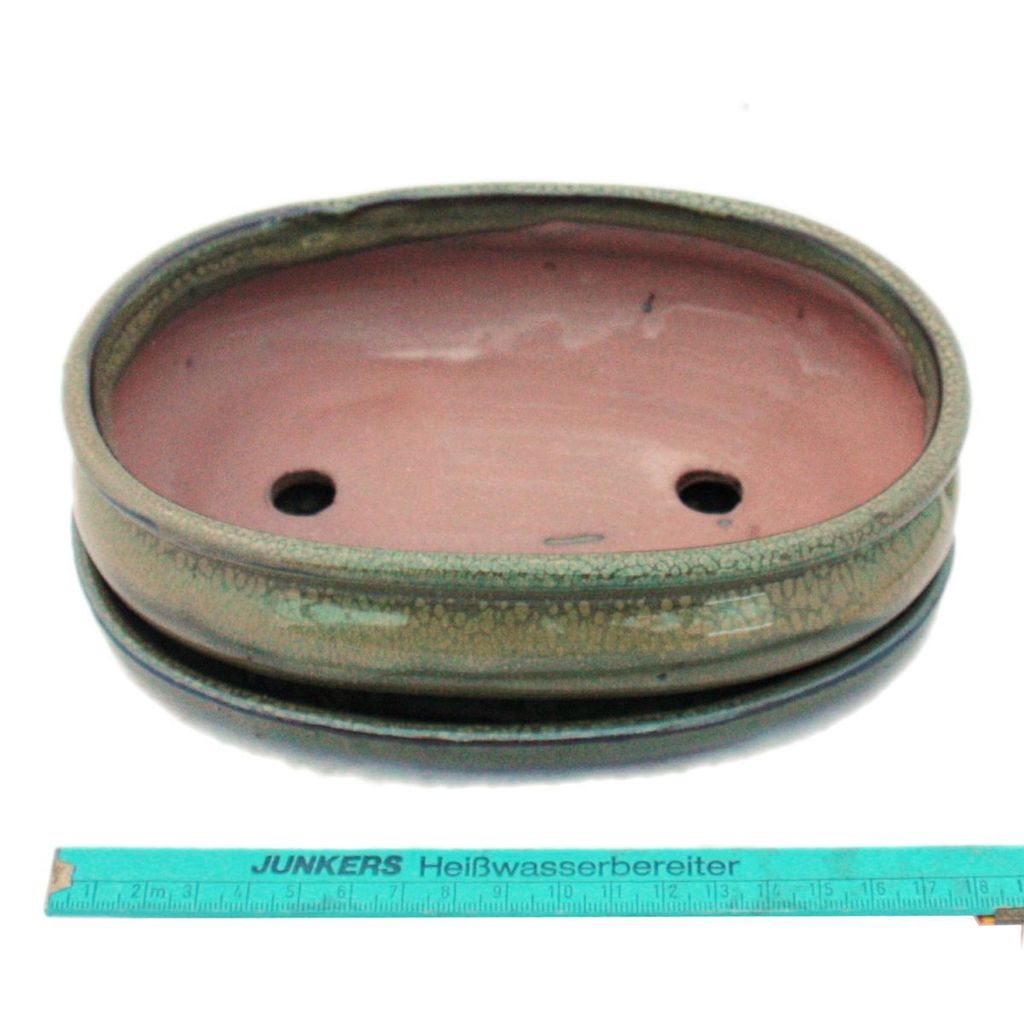 Exotenherz Ciotola Per Bonsai Con Piattino - Modello G29 Rettangolare - Marrone Oliva - 18x13x6 Cm