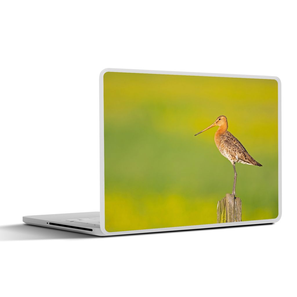 MuchoWow Laptop Aufkleber Sticker Cover Vogel - Tiere - Uferschnepfe - Pfahl - Grün 40x30 cm - Laptop Dekoration - Selbstklebend