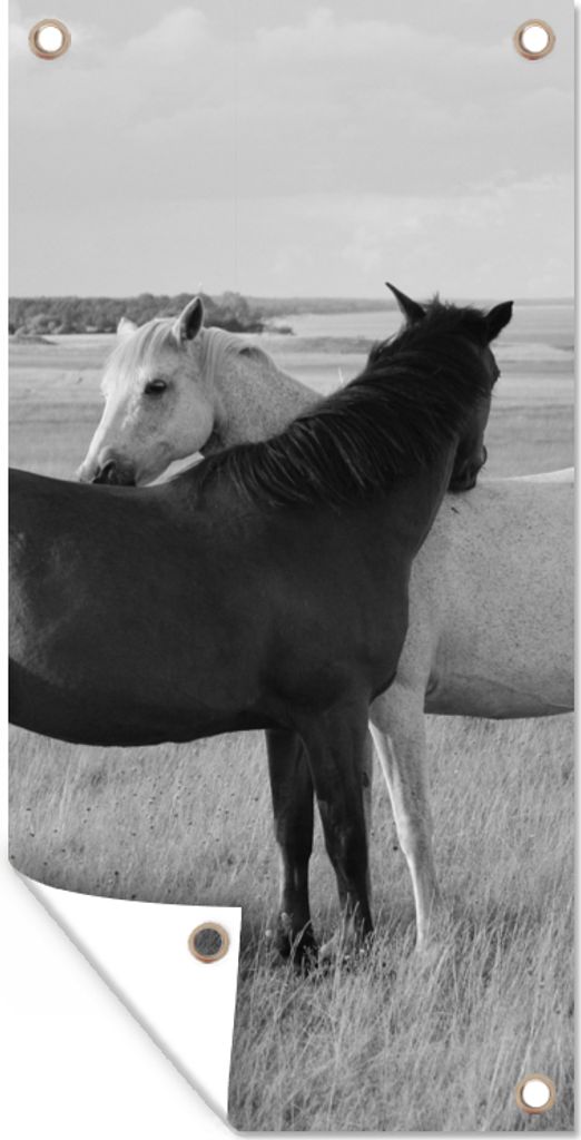 MuchoWow 30x60 cm Outdoor-Poster Gartendeko Sichtschutz Garten Poster für den Garten Pferde - Tiere - Porträt - Schwarz-Weiß - Landleben
