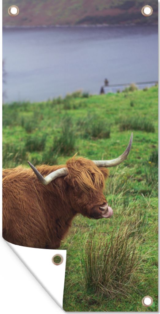 MuchoWow 80x160 cm Outdoor-Poster Gartendeko Sichtschutz Garten Poster für den Garten Schottische Highlander - Gras - Wasser - Tiere