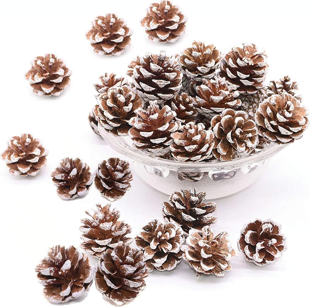 Schneegezuckerte natürliche Tannenzapfen - Weihnachtsdekoration für Christbäume und Feste - 48 Stück